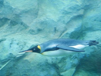 北海道 旭川 成吉思汗 大黒屋 行列のできる生ラムジンギスカンの名店