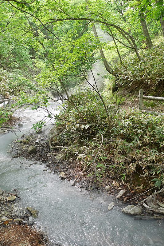 登別温泉 大湯沼川天然足湯