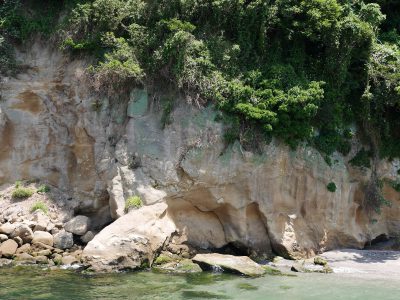 横須賀のカレーフェスからのフェリー「Sea Friend ZERO」で猿島へ