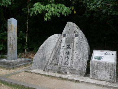 沖縄 南城市 ガンガラーの谷 鍾乳洞が崩落してできた谷間に広がる太古の森