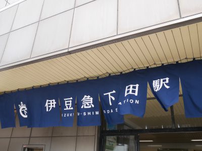 スーパービュー踊り子号で伊豆下田までプチトリップしたよ／静岡 下田