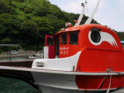 静岡県 伊豆下田 龍宮窟 上から覗くとハート形 愛のパワースポット