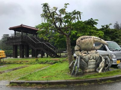 寄港地3 沖縄那覇は大雨だよ！ウインナー天、ヒルギ公園／MSCスプレンディダで行く台湾・沖縄 クルーズ旅！#22