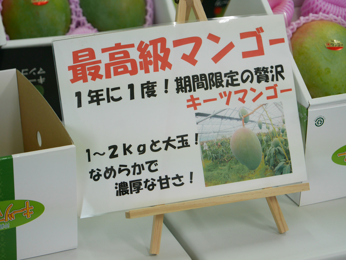 MSCスプレンディダ 初めてのクルーズ旅！横浜→基隆 (台湾)→宮古島→那覇→熊野花火→横浜