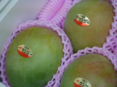 沖縄 那覇でカットアップルマンゴー食べたよ！／MSCスプレンディダで行く台湾・沖縄 クルーズ旅！#23