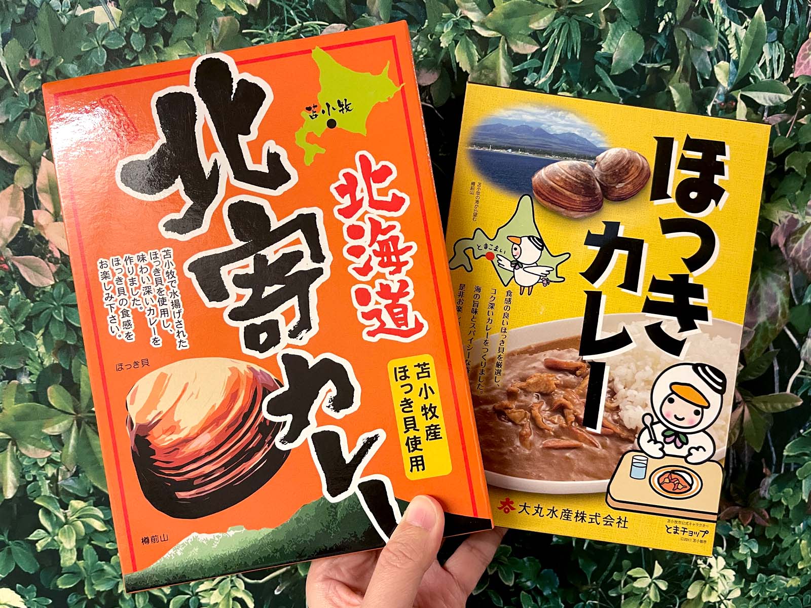 レトルトカレー食べ比べ！「北寄カレー」と「ほっきカレー」を食べてみたよ！