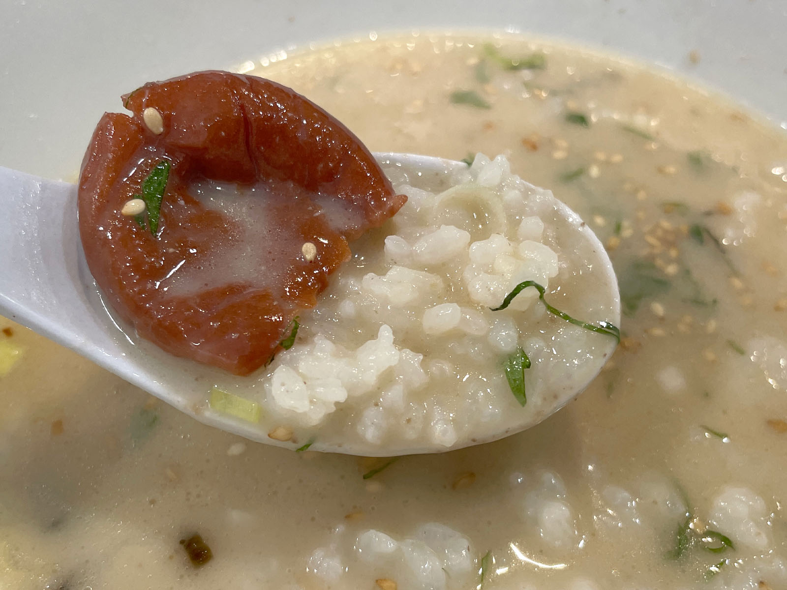 超濃厚鶏白湯ラーメン専門店「鶏ふじ」で雑炊セットを食べてきたよ／横浜市馬車道