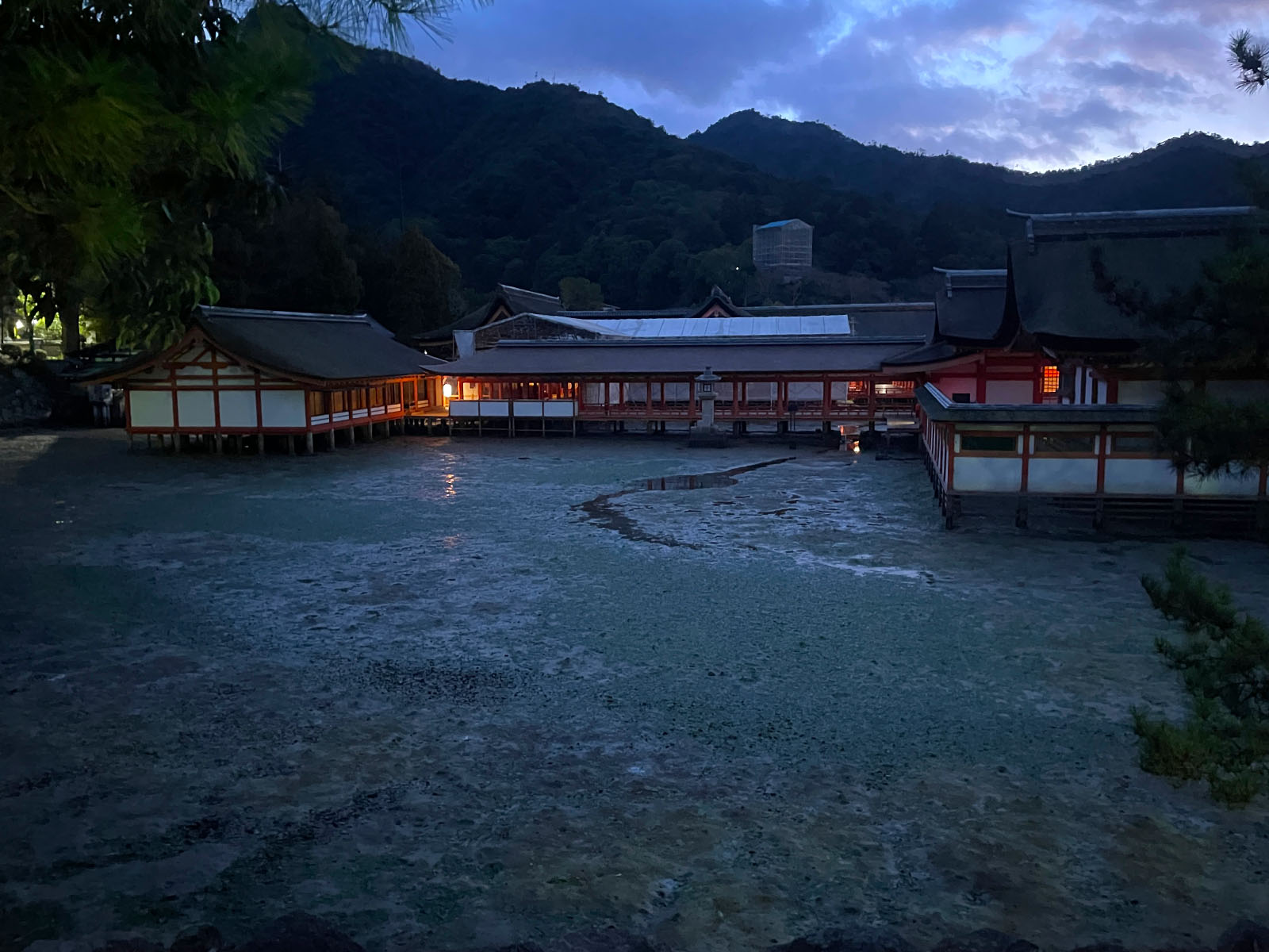 干潮の厳島神社 大鳥居を見るため、夕暮れの宮島をプラプラしてみたよ！／広島県廿日市