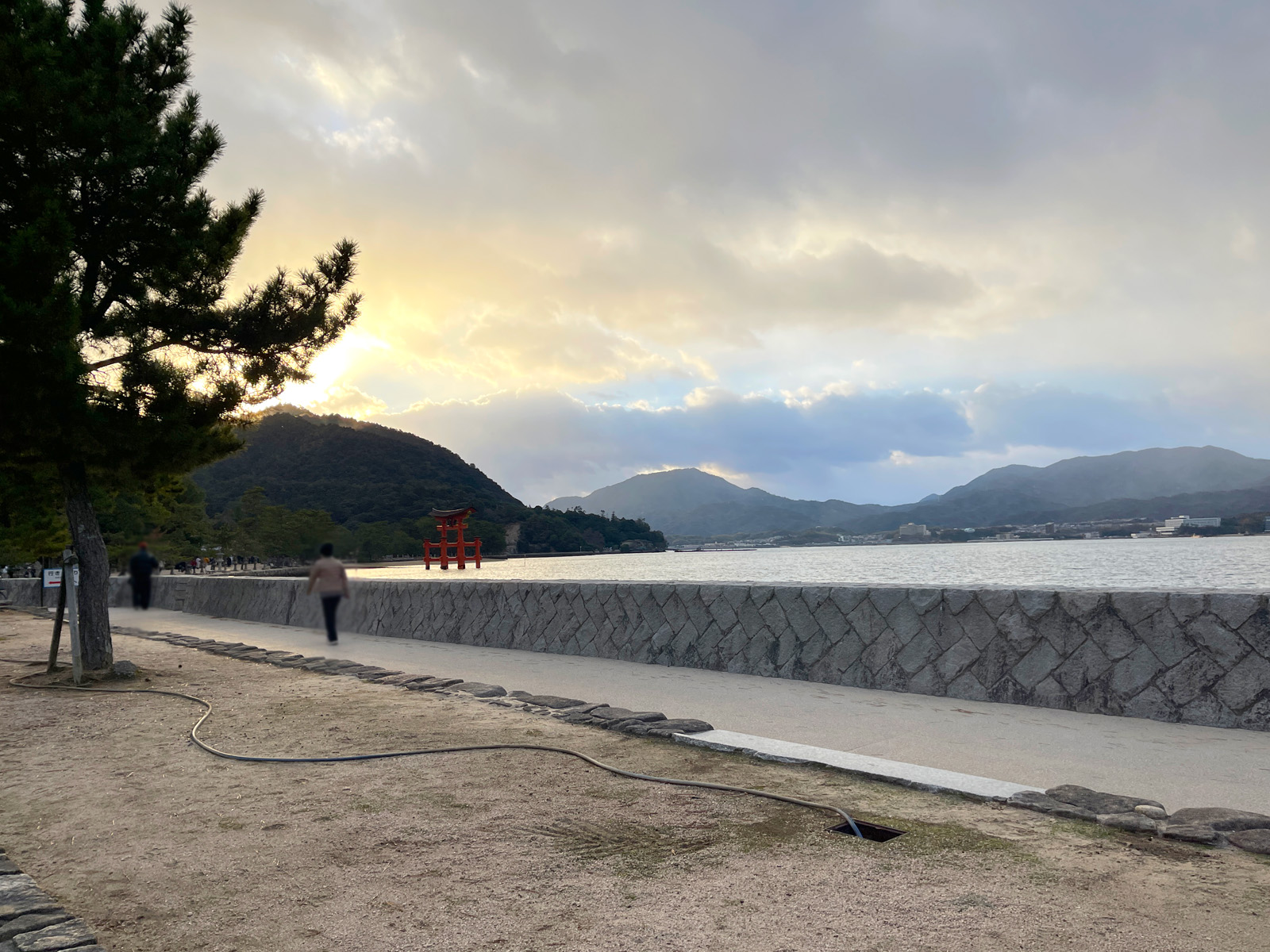 宮島にある宮島珈琲で、コーヒーと高津堂の元祖もみぢ饅頭を食べたよ！広島県廿日市