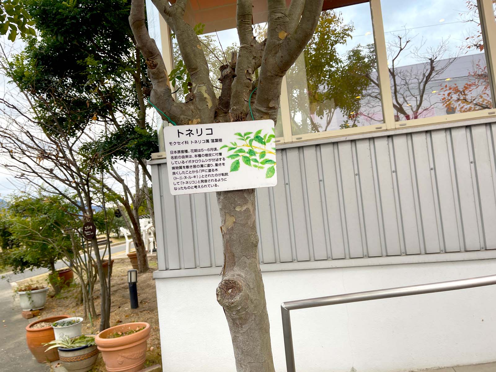 バッケンモーツアルトのガーデンを散歩してみたよ！／広島県廿日市