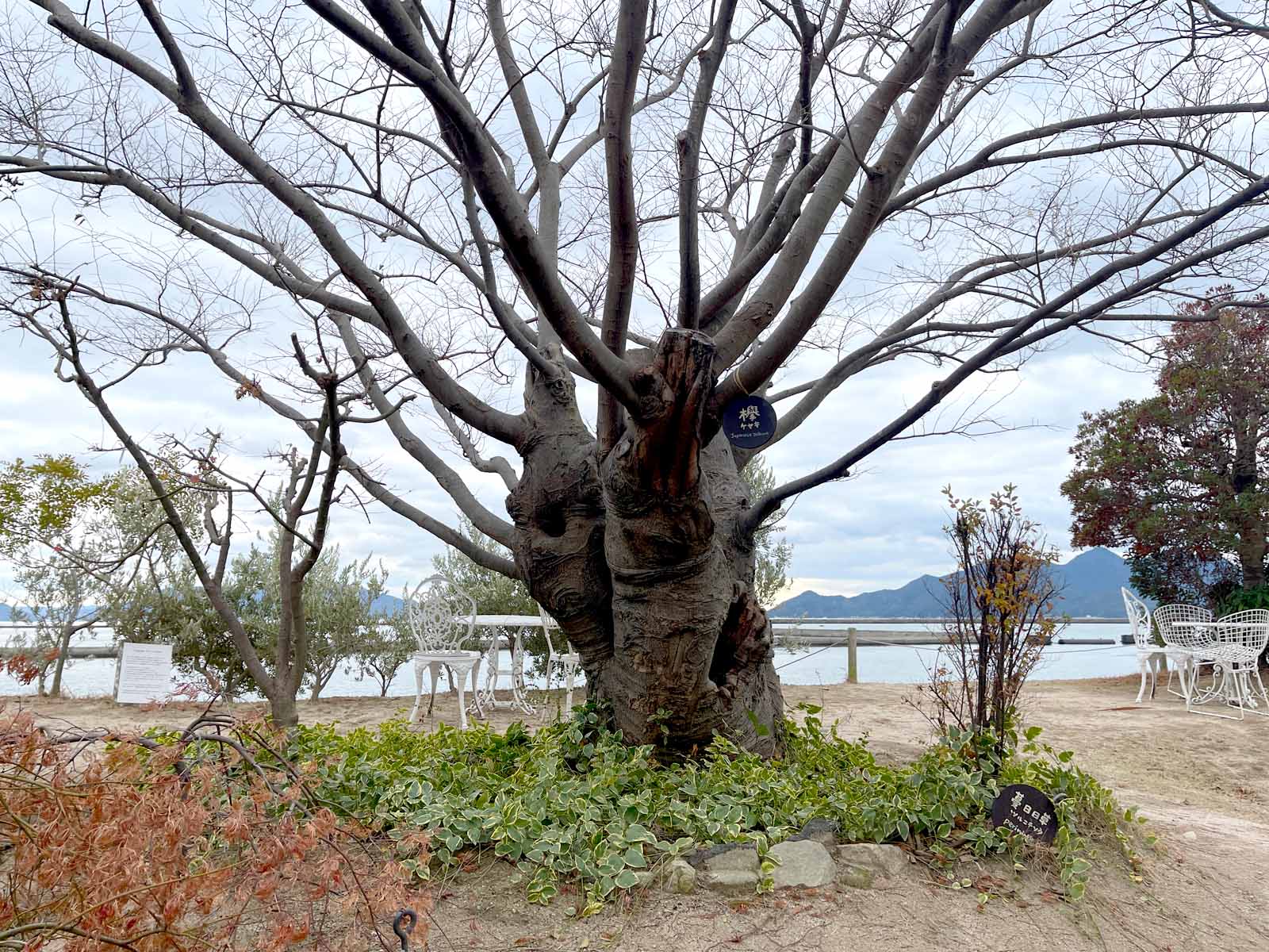 バッケンモーツアルトのガーデンを散歩してみたよ！／広島県廿日市