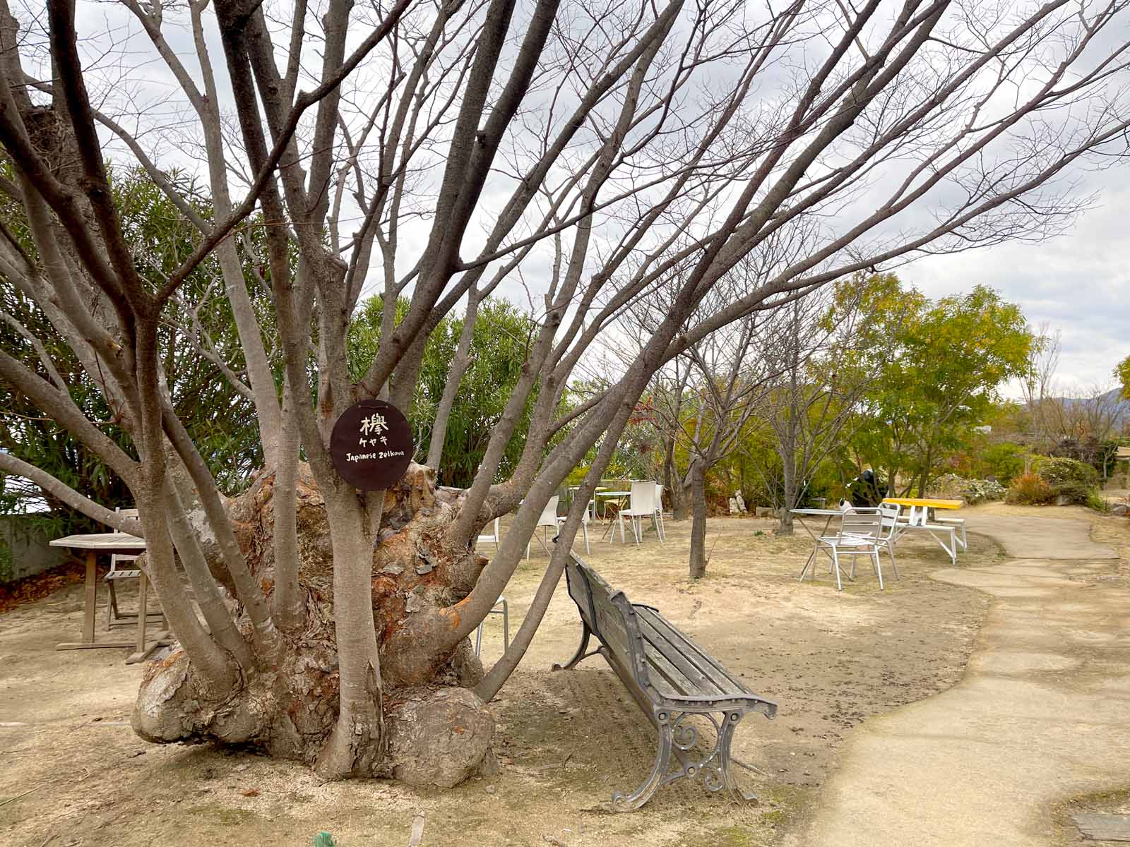 バッケンモーツアルトのガーデンを散歩してみたよ！／広島県廿日市