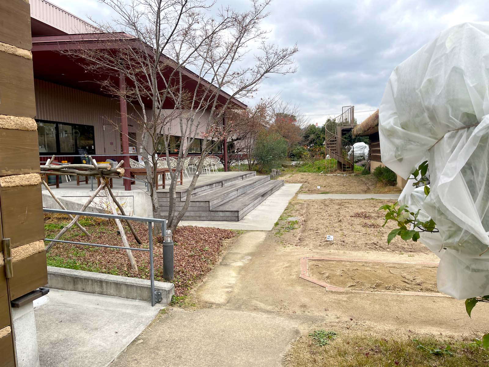 IROHA villageで"藤い屋"の焼きたて「もみじまんじゅう」を食べたよ！／広島県五日市