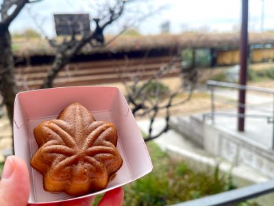 マリオディマーレでフルーツサラダとレモンペペロンチーノ食べた！／広島県廿日市