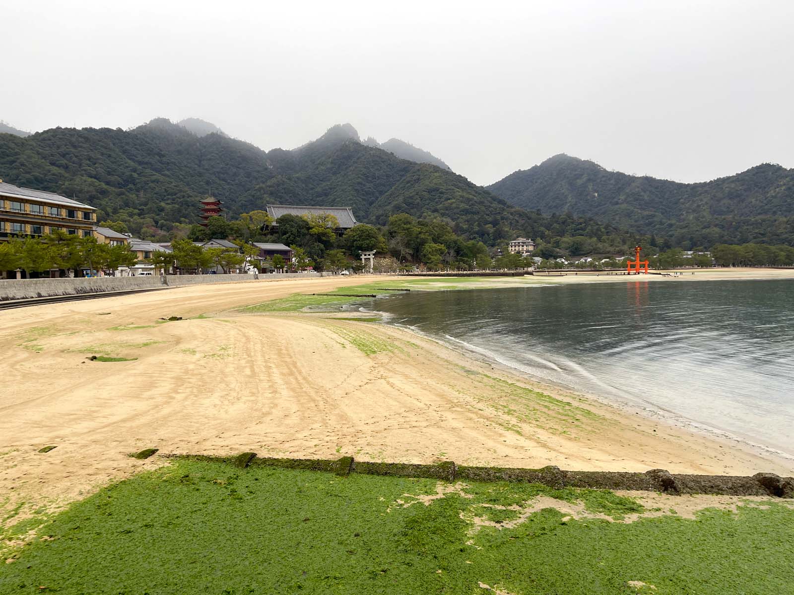 宮島にある国宝・世界遺産 厳島神社の大鳥居の近くまで行ってみたよ！／広島県廿日市