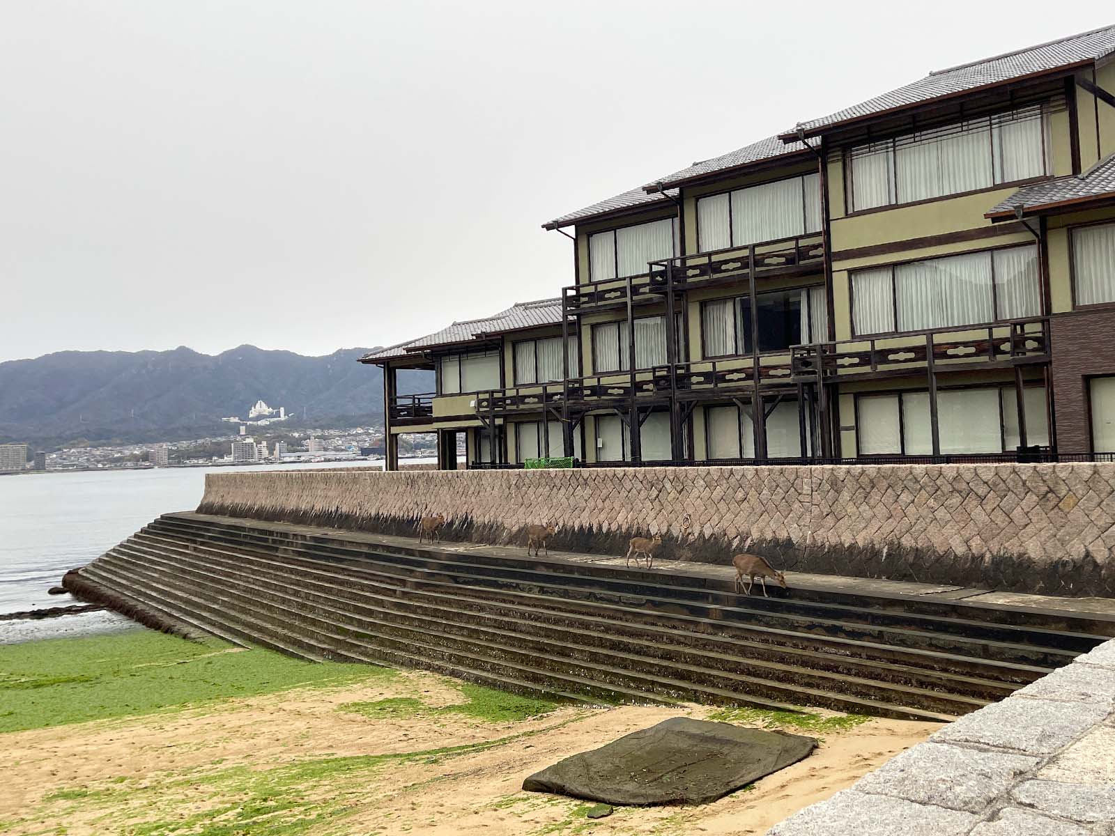 宮島にある国宝・世界遺産 厳島神社の大鳥居の近くまで行ってみたよ！／広島県廿日市