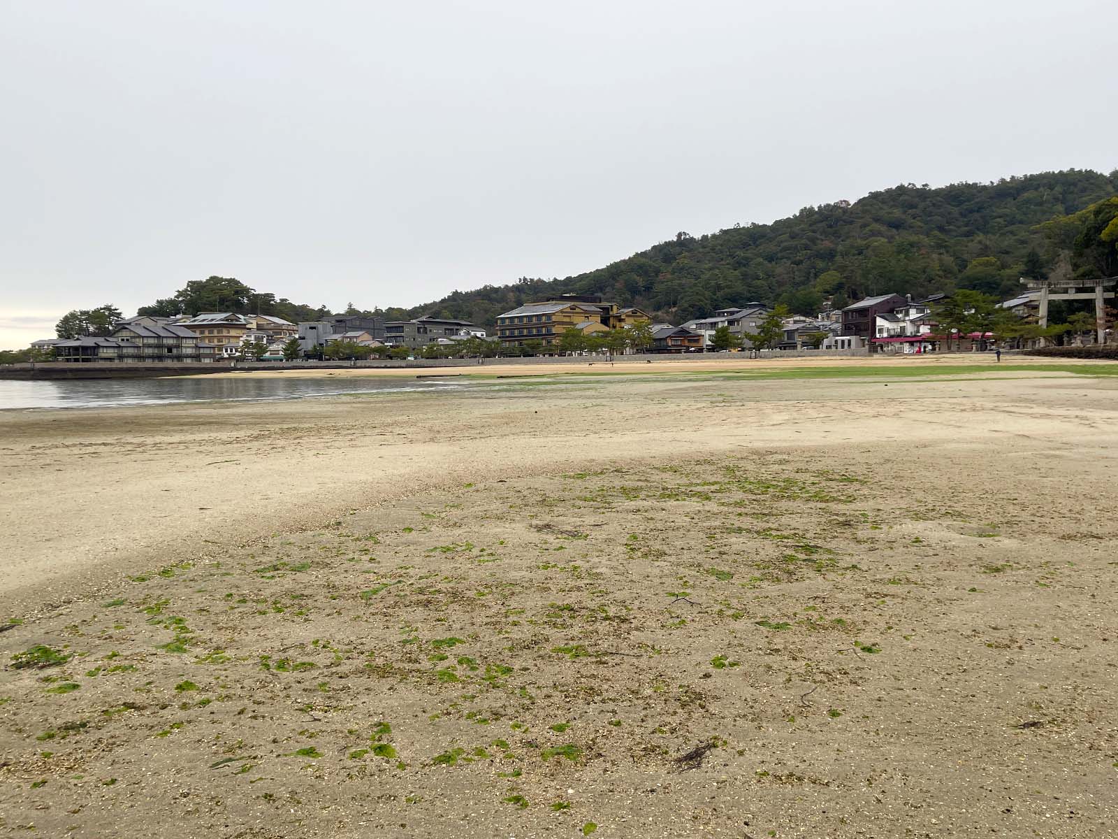 宮島にある国宝・世界遺産 厳島神社の大鳥居の近くまで行ってみたよ！／広島県廿日市