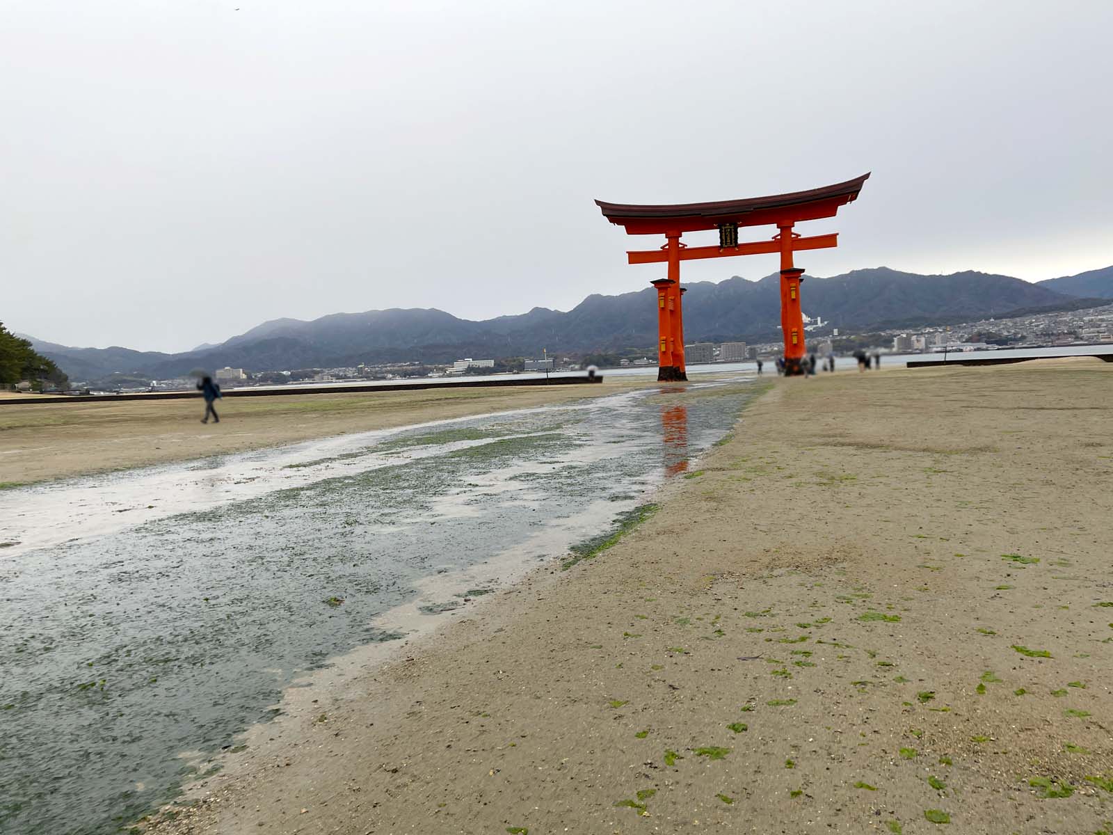 宮島にある国宝・世界遺産 厳島神社の大鳥居の近くまで行ってみたよ！／広島県廿日市