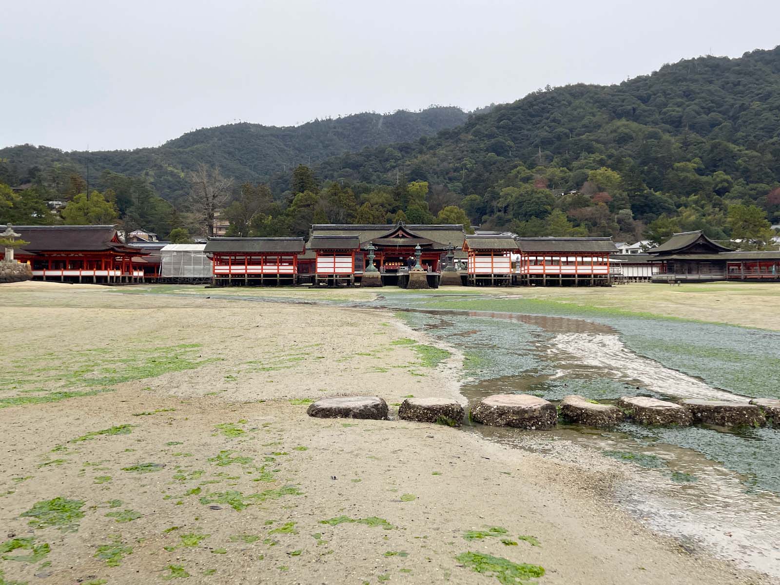 宮島にある国宝・世界遺産 厳島神社の大鳥居の近くまで行ってみたよ！／広島県廿日市