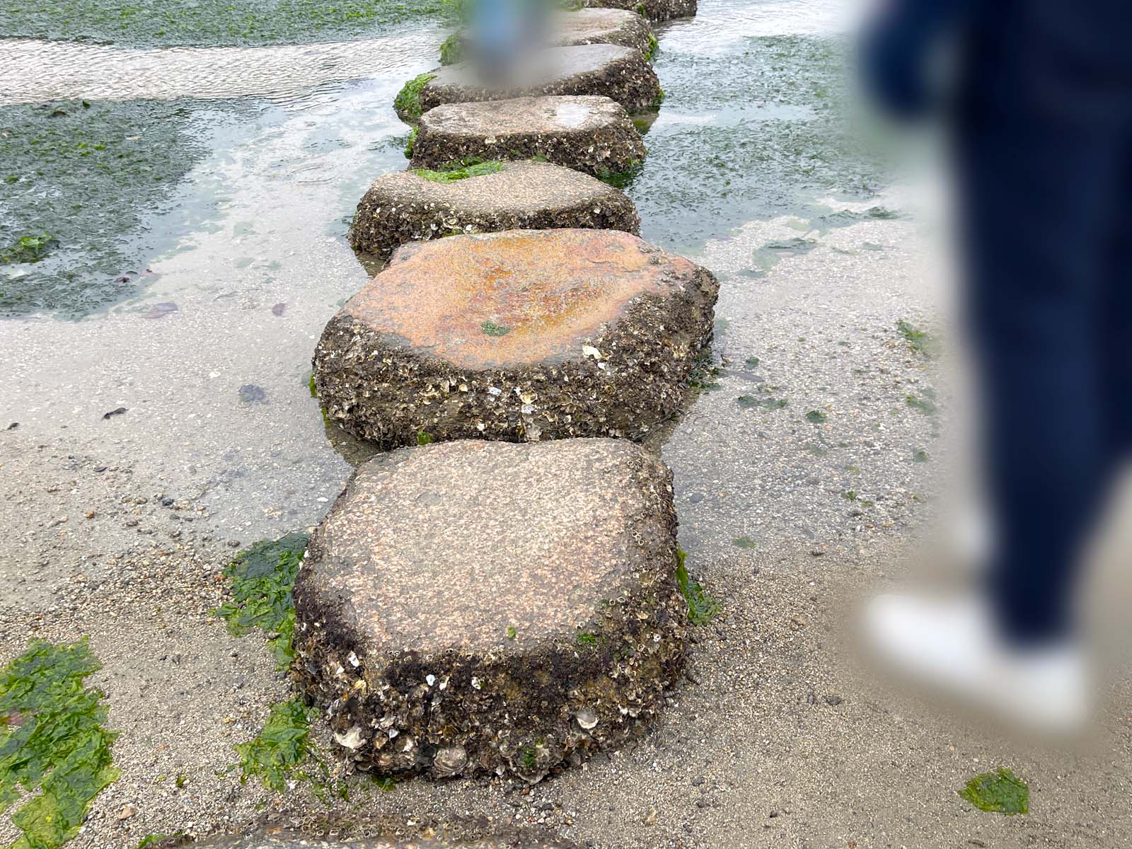 宮島にある国宝・世界遺産 厳島神社の大鳥居の近くまで行ってみたよ！／広島県廿日市