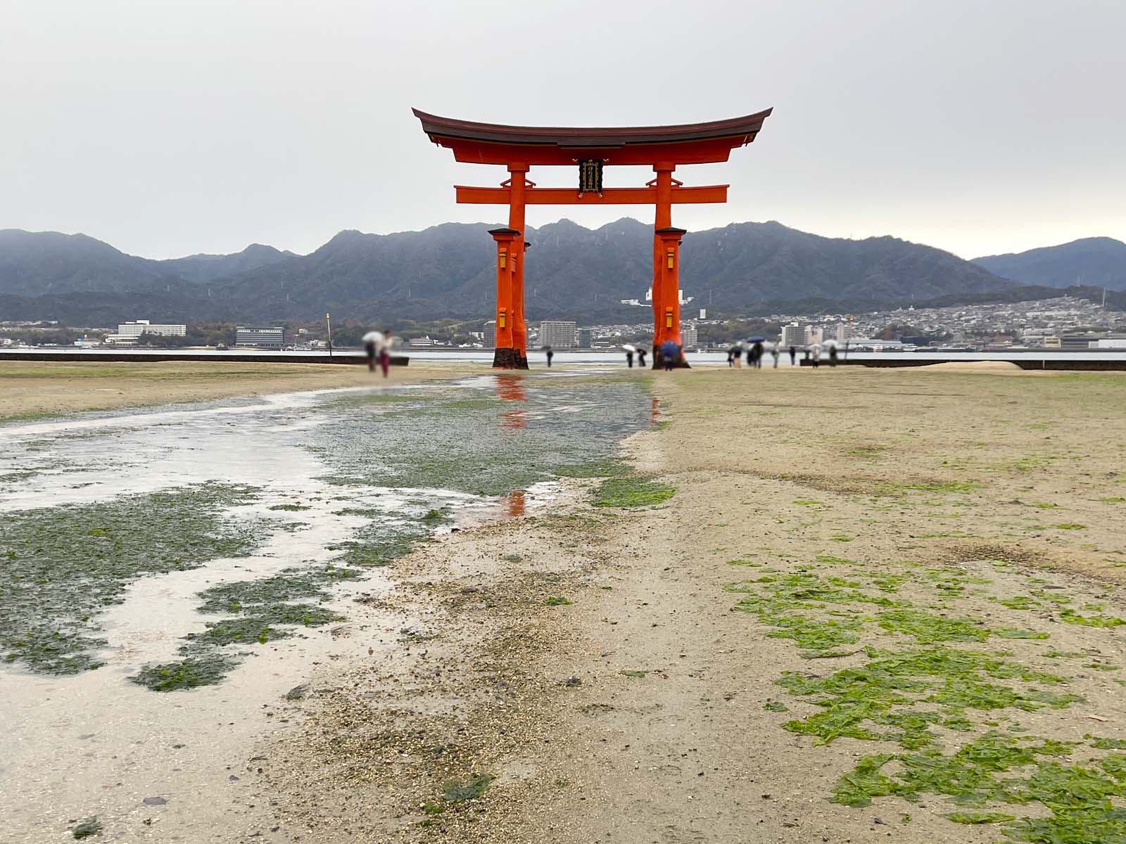 宮島にある国宝・世界遺産 厳島神社の大鳥居の近くまで行ってみたよ！／広島県廿日市