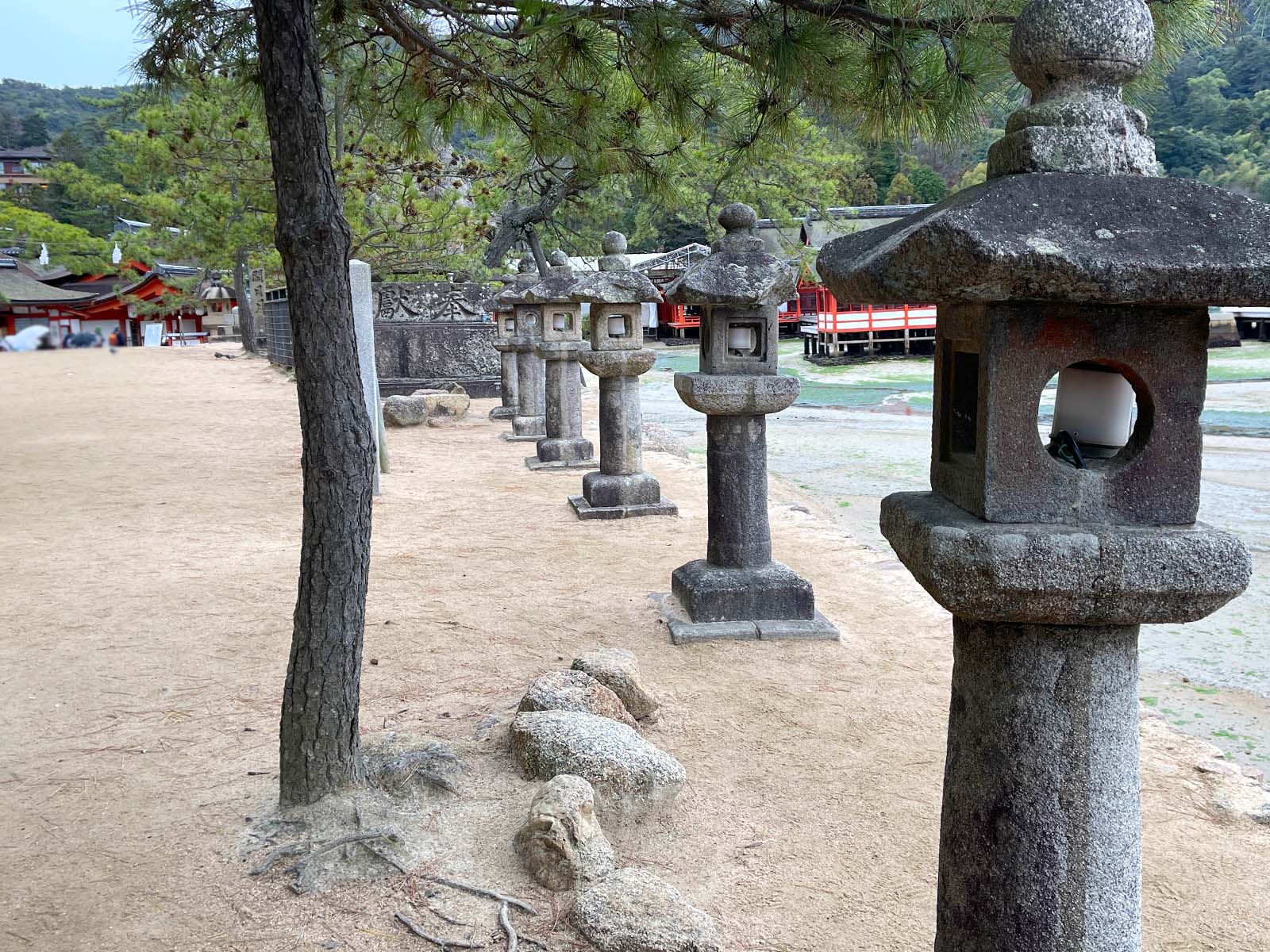 宮島にある国宝・世界遺産 厳島神社の大鳥居の近くまで行ってみたよ！／広島県廿日市