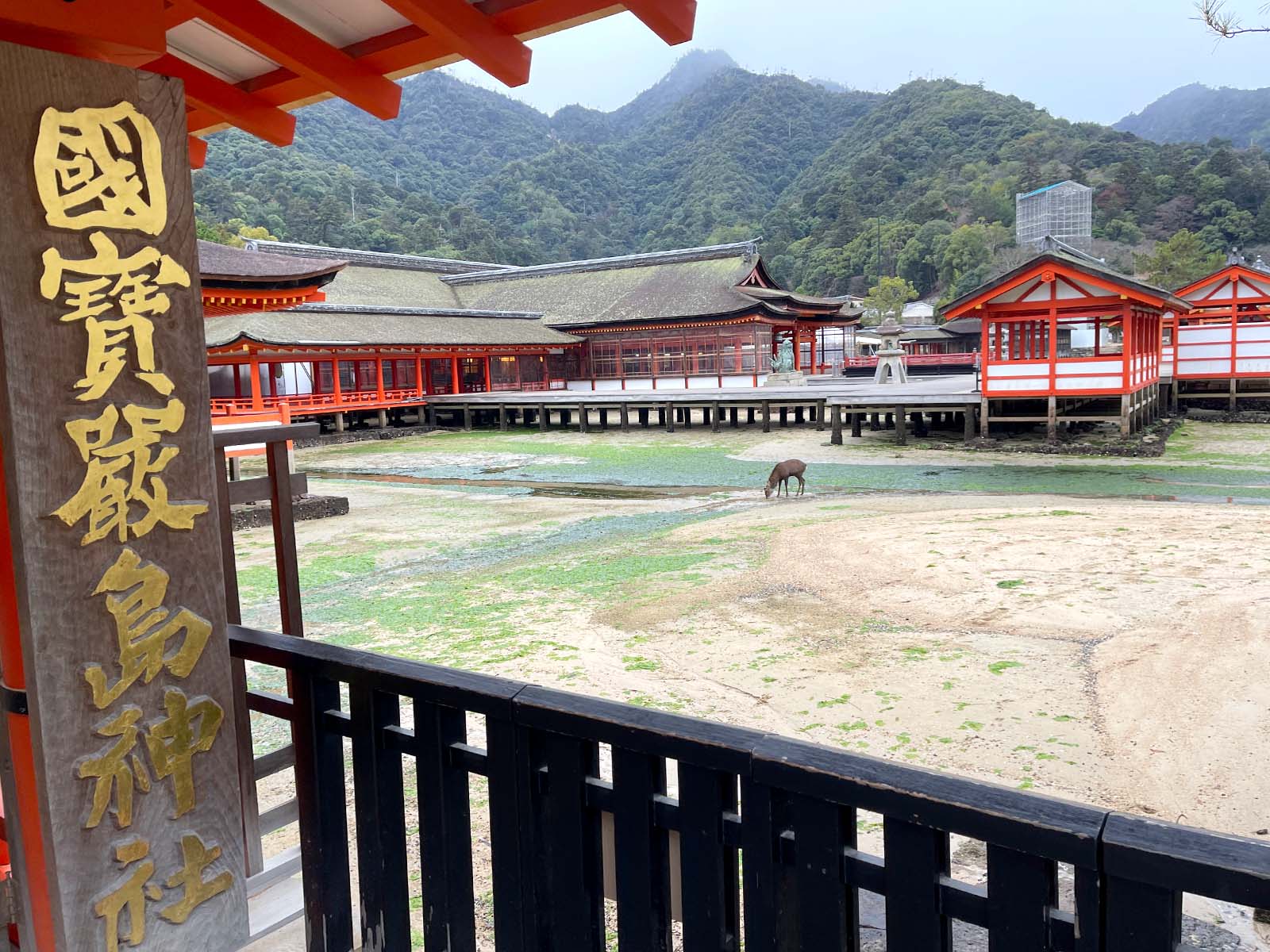 宮島にある国宝・世界遺産 厳島神社の大鳥居の近くまで行ってみたよ！／広島県廿日市