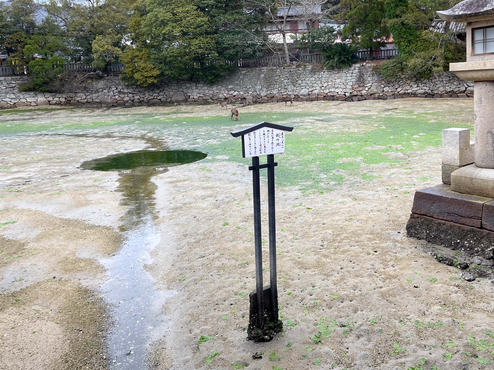 宮島にある国宝・世界遺産 厳島神社の大鳥居の近くまで行ってみたよ！／広島県廿日市