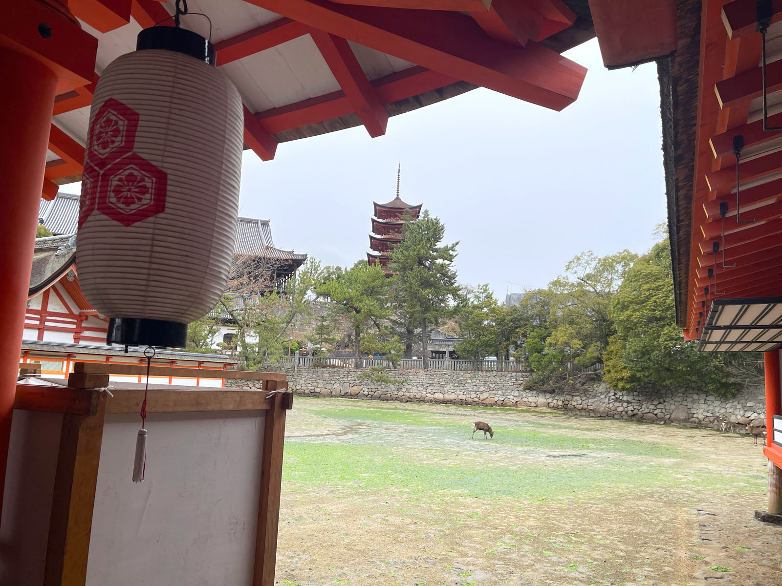 宮島にある国宝・世界遺産 厳島神社の大鳥居の近くまで行ってみたよ！／広島県廿日市