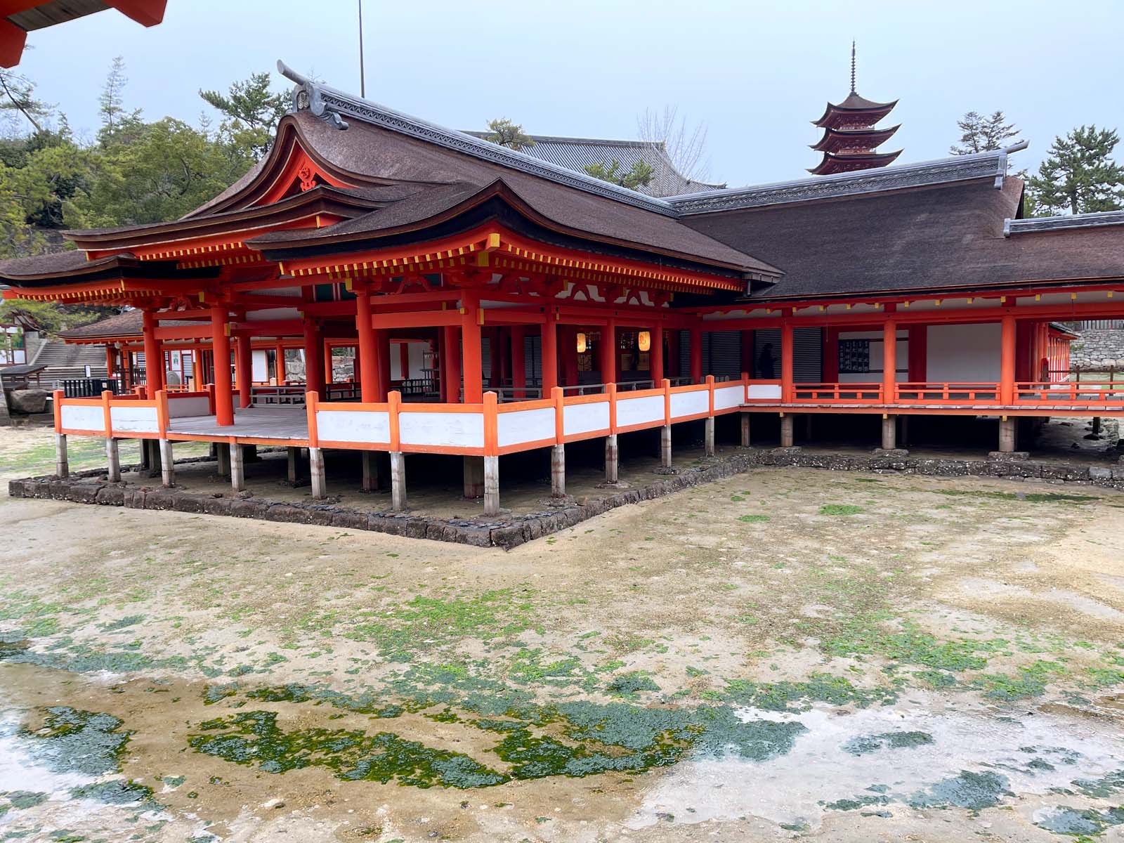 宮島にある国宝・世界遺産 厳島神社の大鳥居の近くまで行ってみたよ！／広島県廿日市