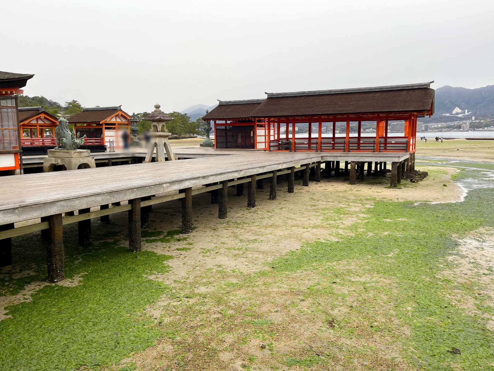 宮島にある国宝・世界遺産 厳島神社の大鳥居の近くまで行ってみたよ！／広島県廿日市