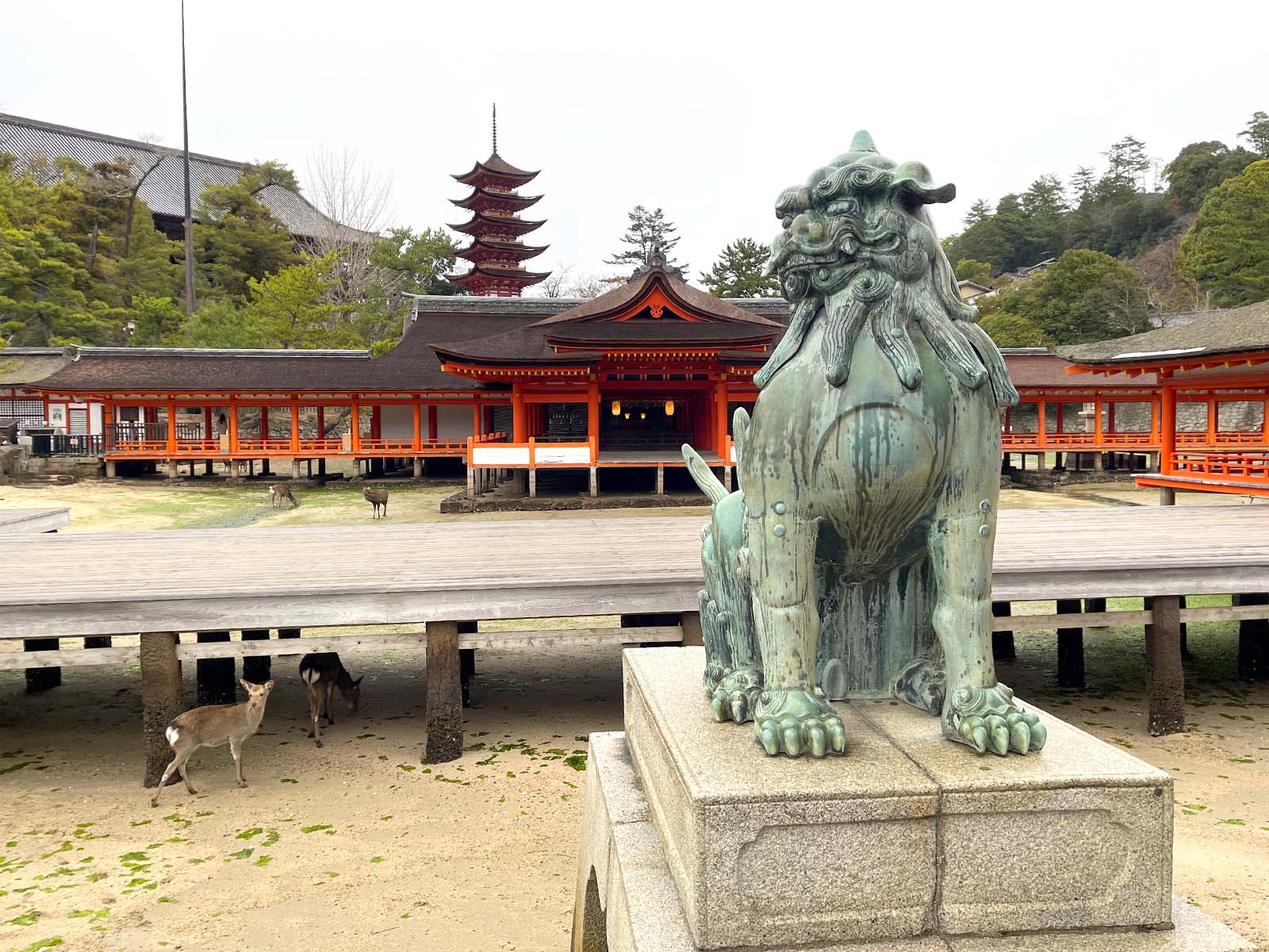 宮島にある国宝・世界遺産 厳島神社の大鳥居の近くまで行ってみたよ！／広島県廿日市