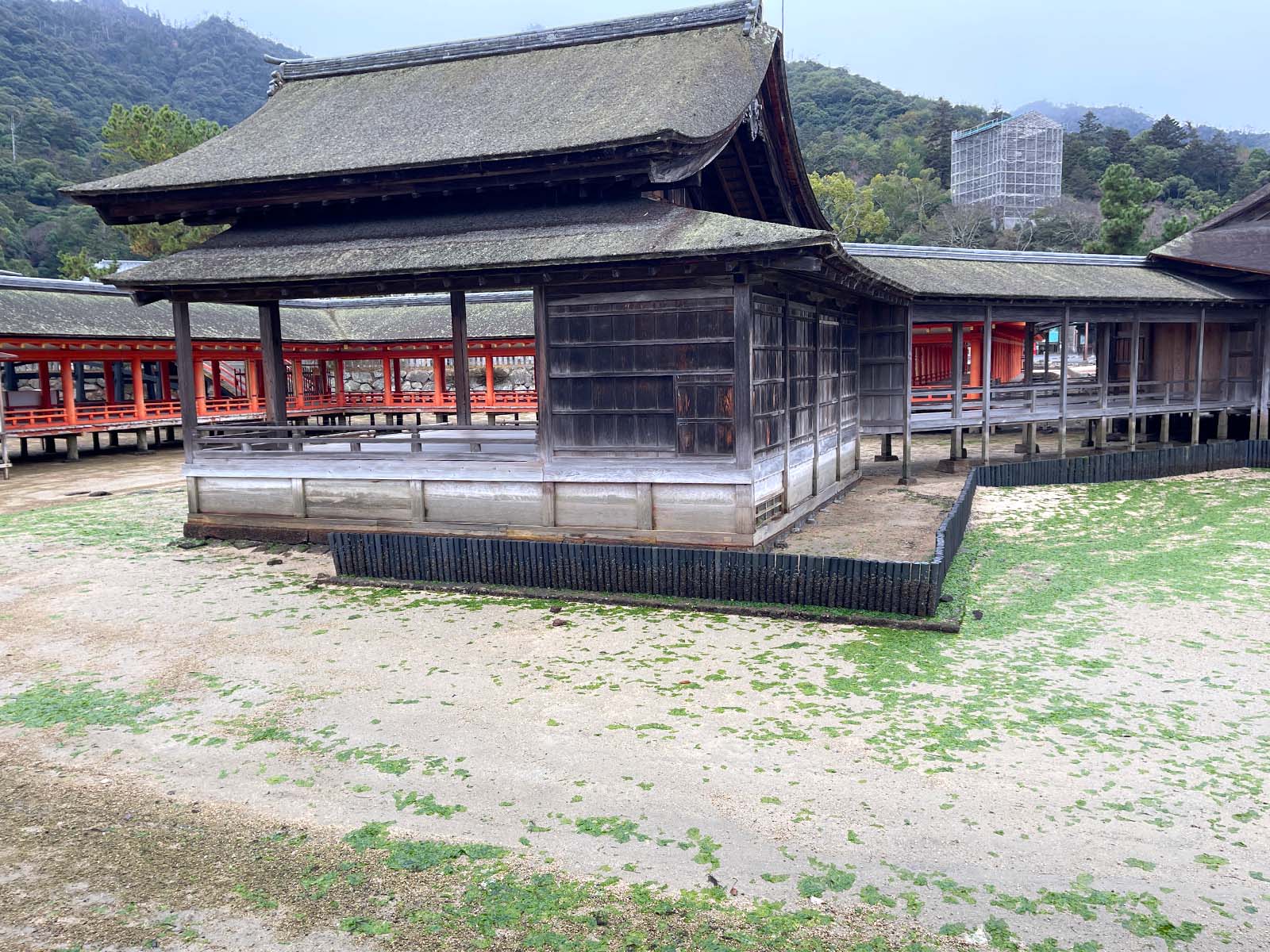 宮島にある国宝・世界遺産 厳島神社の大鳥居の近くまで行ってみたよ！／広島県廿日市