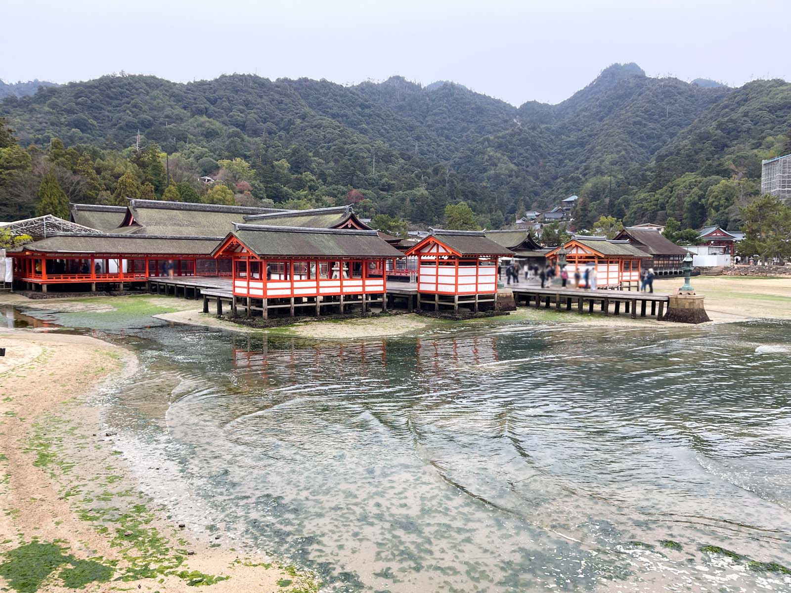 宮島にある国宝・世界遺産 厳島神社の大鳥居の近くまで行ってみたよ！／広島県廿日市