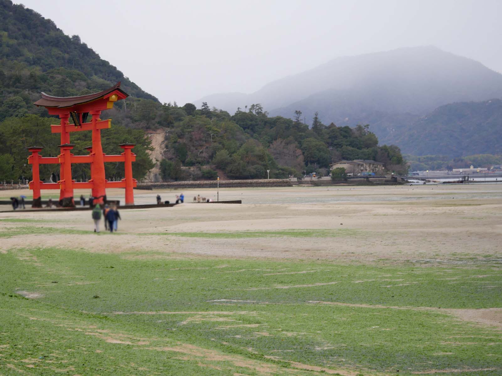 宮島にある国宝・世界遺産 厳島神社の大鳥居の近くまで行ってみたよ！／広島県廿日市