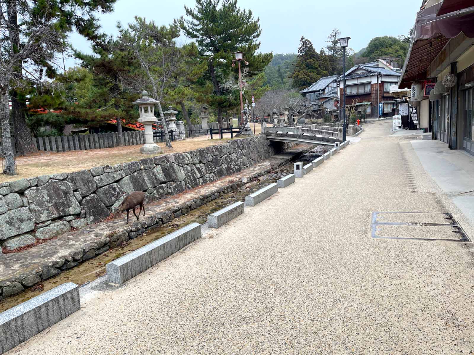 etto宮島交流館で大きなしゃもじ"大杓子"と展望室からの景色を見たよ！／広島県廿日市