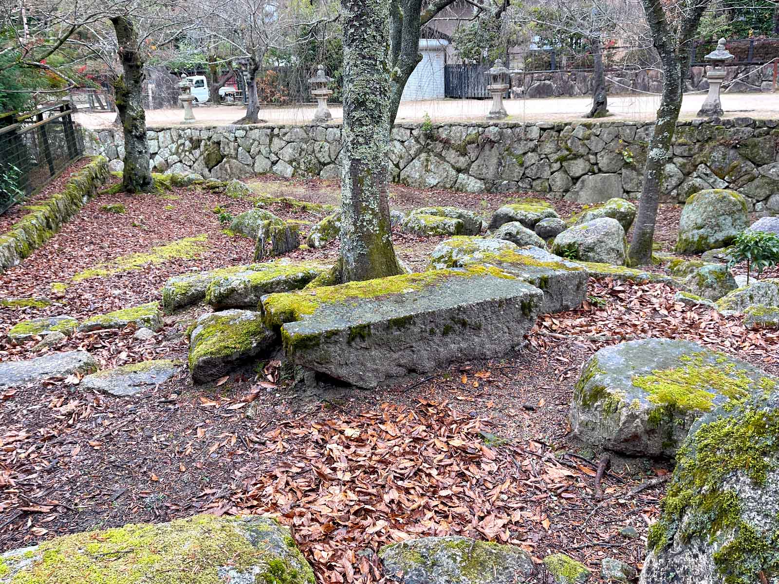 etto宮島交流館で大きなしゃもじ"大杓子"と展望室からの景色を見たよ！／広島県廿日市