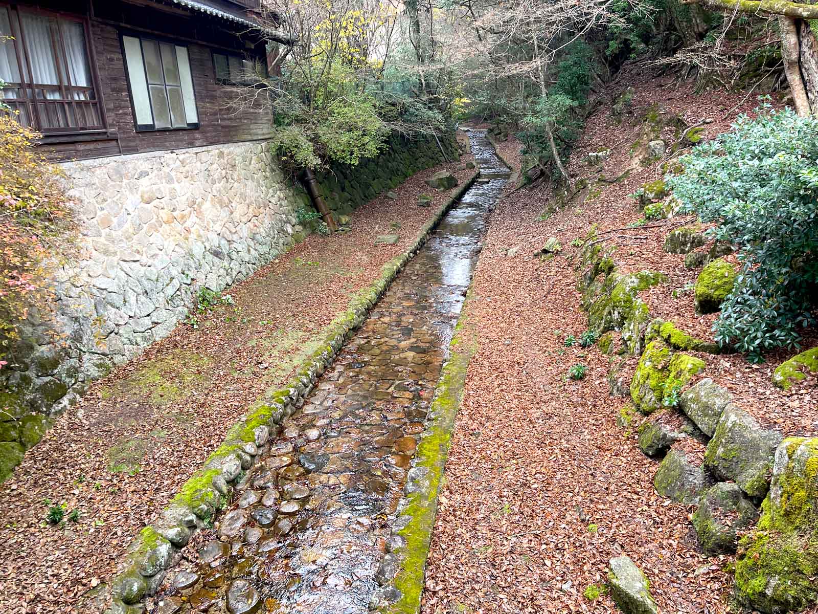 etto宮島交流館で大きなしゃもじ"大杓子"と展望室からの景色を見たよ！／広島県廿日市