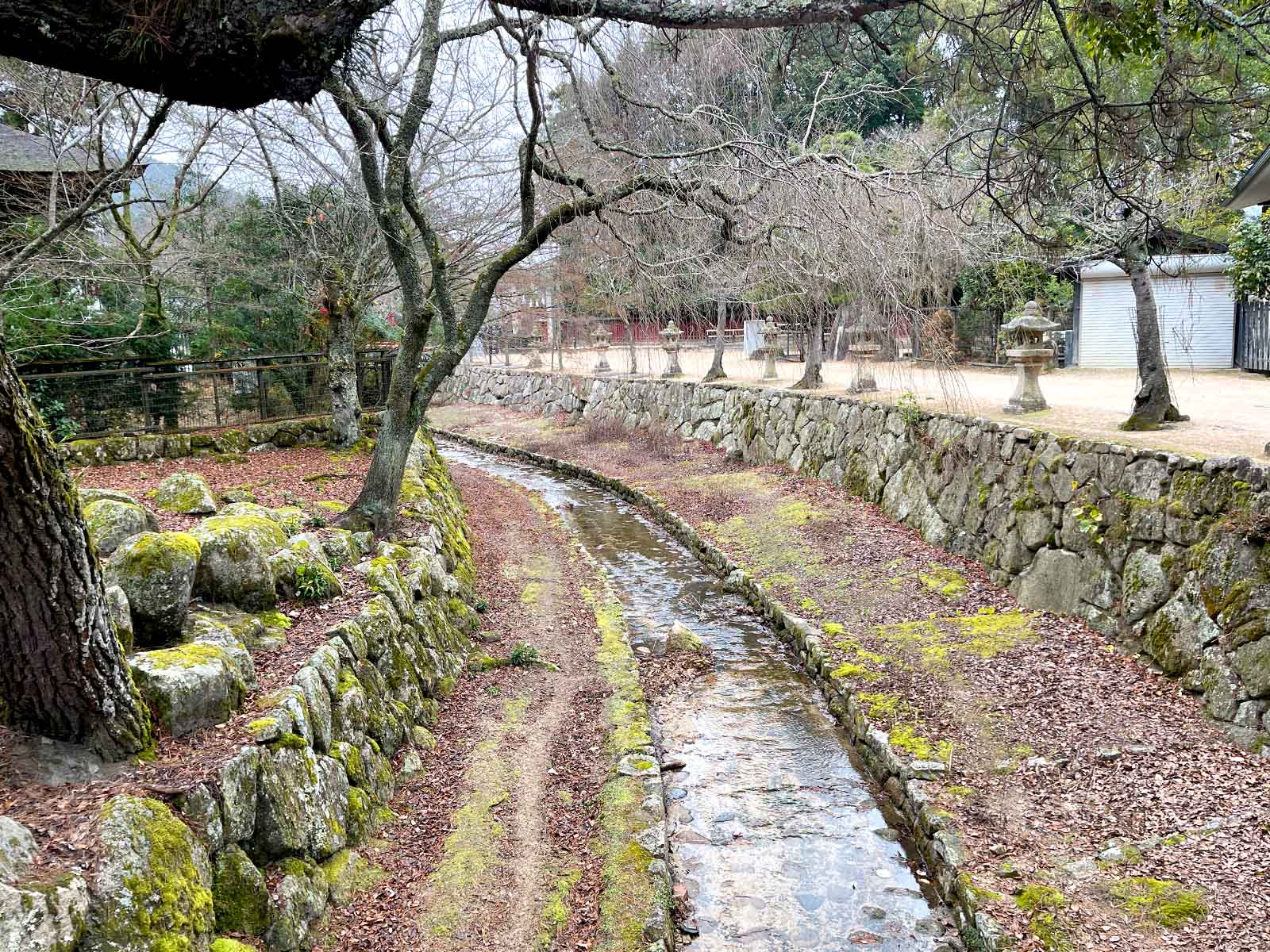 etto宮島交流館で大きなしゃもじ"大杓子"と展望室からの景色を見たよ！／広島県廿日市