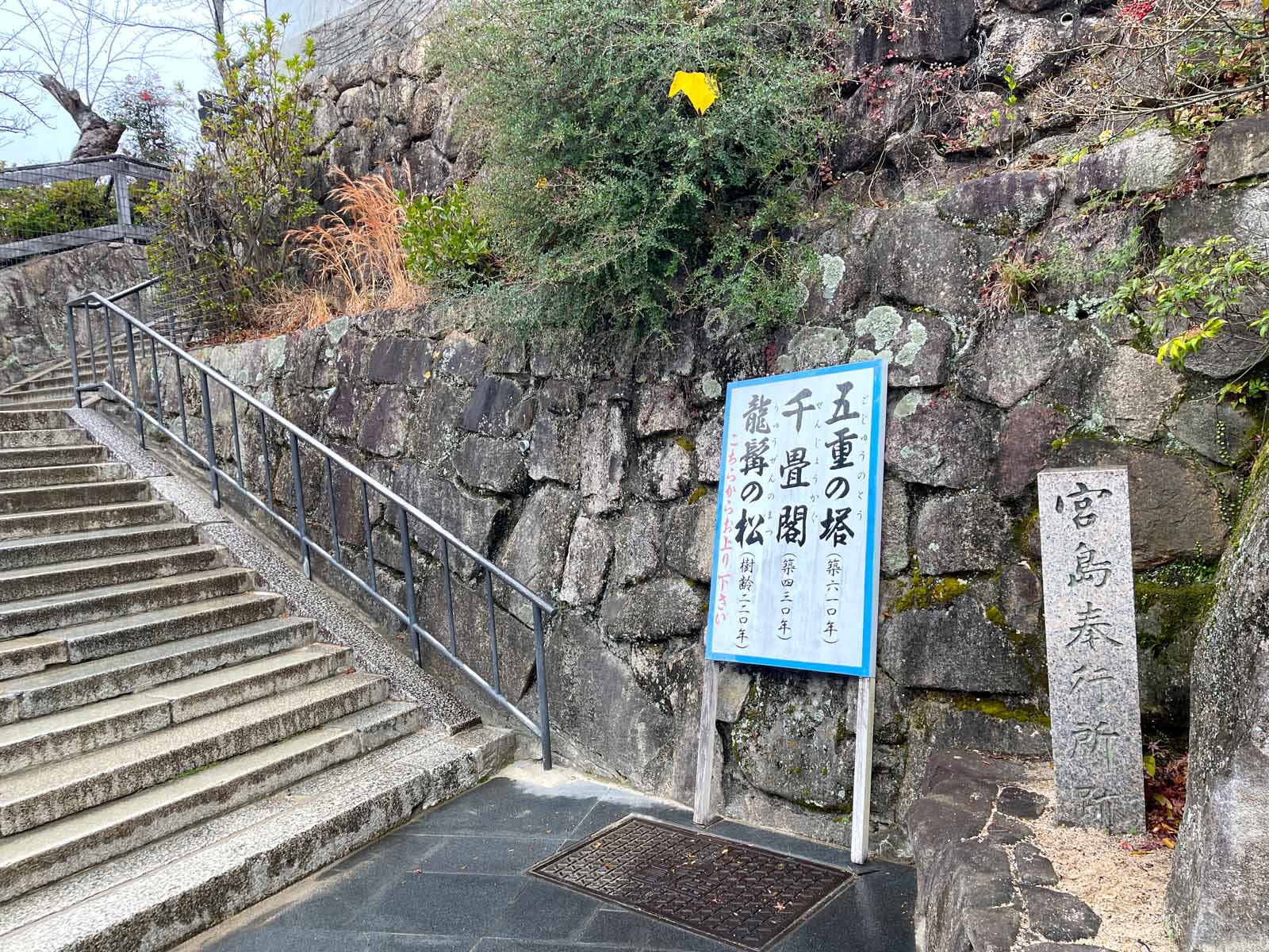 宮島にある豊国神社(千畳閣)と五重塔と龍鬚の松を見たよ！／広島県廿日市