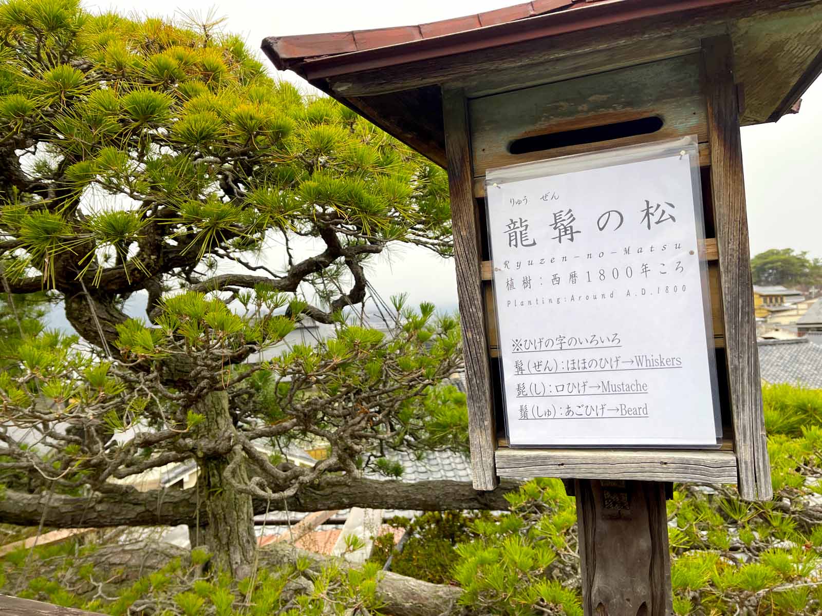 宮島にある豊国神社(千畳閣)と五重塔と龍鬚の松を見たよ！／広島県廿日市