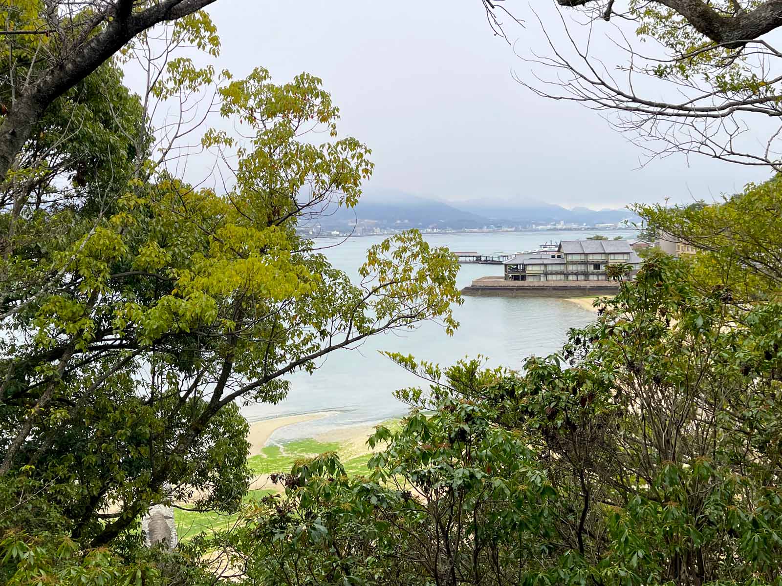 宮島にある豊国神社(千畳閣)と五重塔と龍鬚の松を見たよ！／広島県廿日市