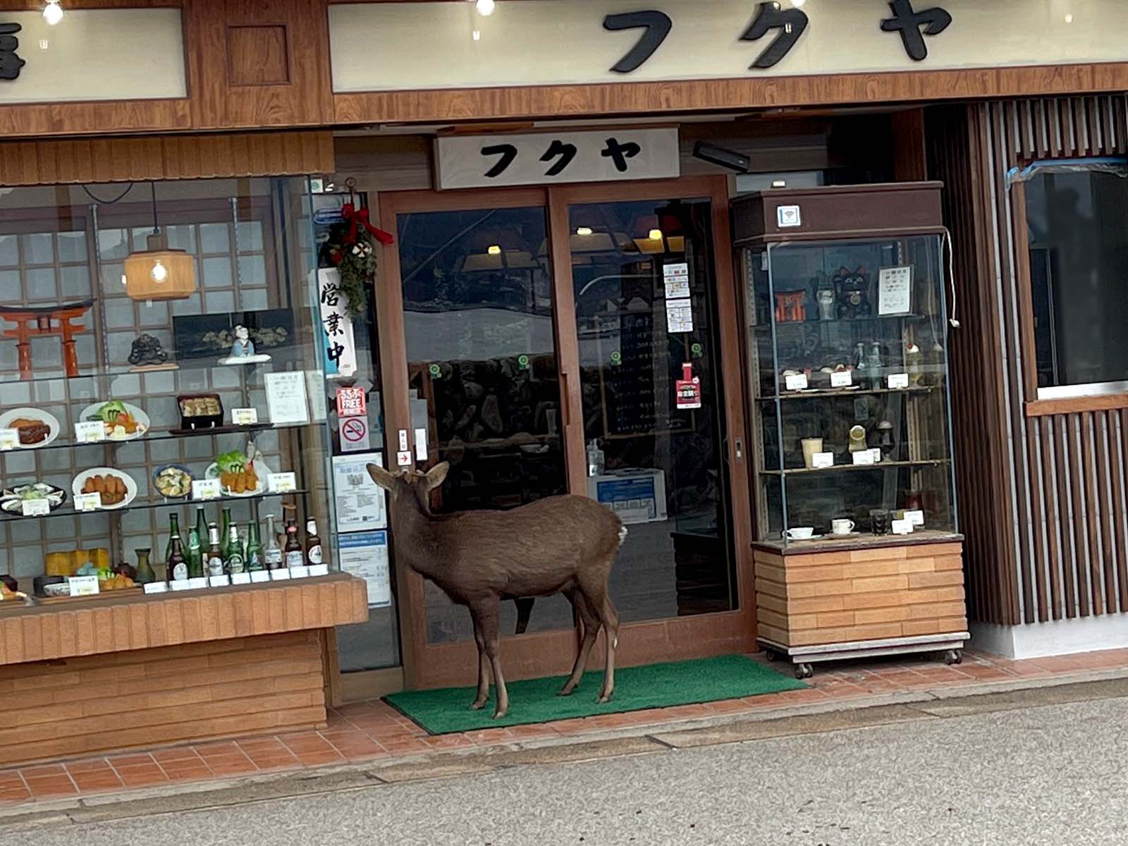 宮島にある宮島珈琲でコーヒーとコーヒーソフトクリームを食べたよ！／広島県廿日市