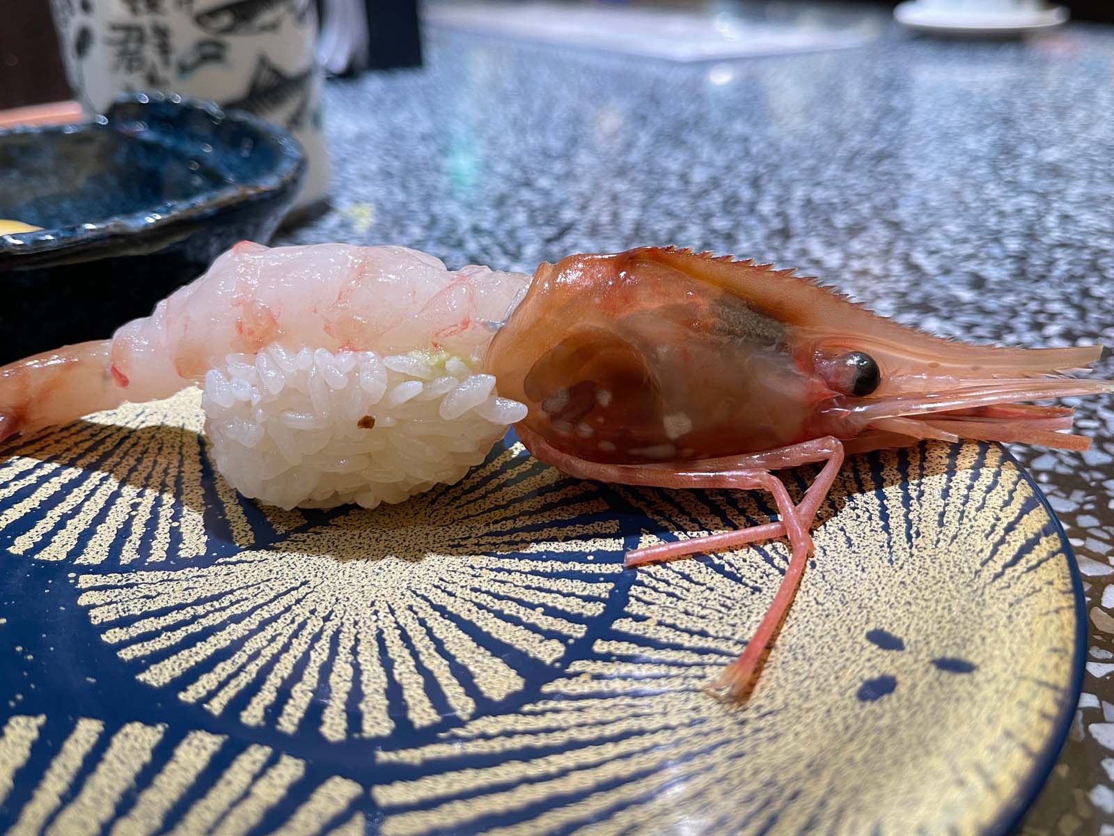 回転寿司 根室花まるでぼたんえび、とろにしん、筋子のお寿司食べた／北海道札幌
