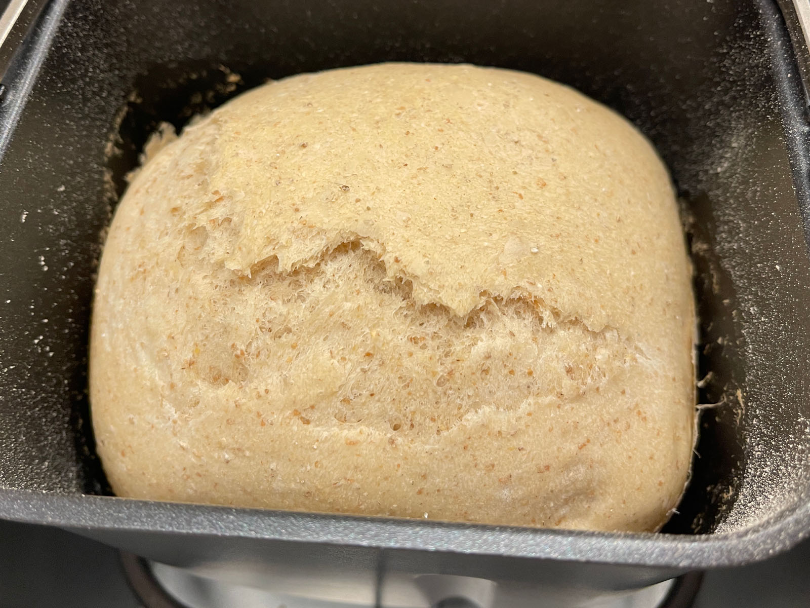 recolte(レコルト)のホームベーカリーでリスドォルとライ麦のカンパーニュ風パンを作った！