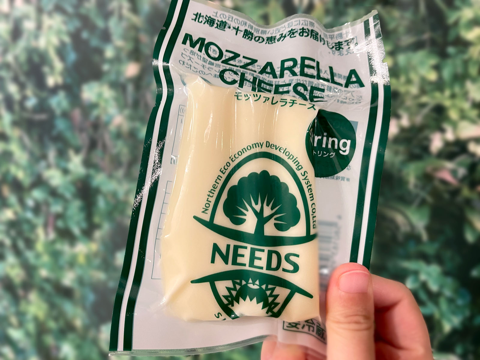 チーズ食べ比べ3：NEEDSのモッツァレラチーズとニセコチーズ工房の白樺ストリングチーズ食べた！／北海道土産