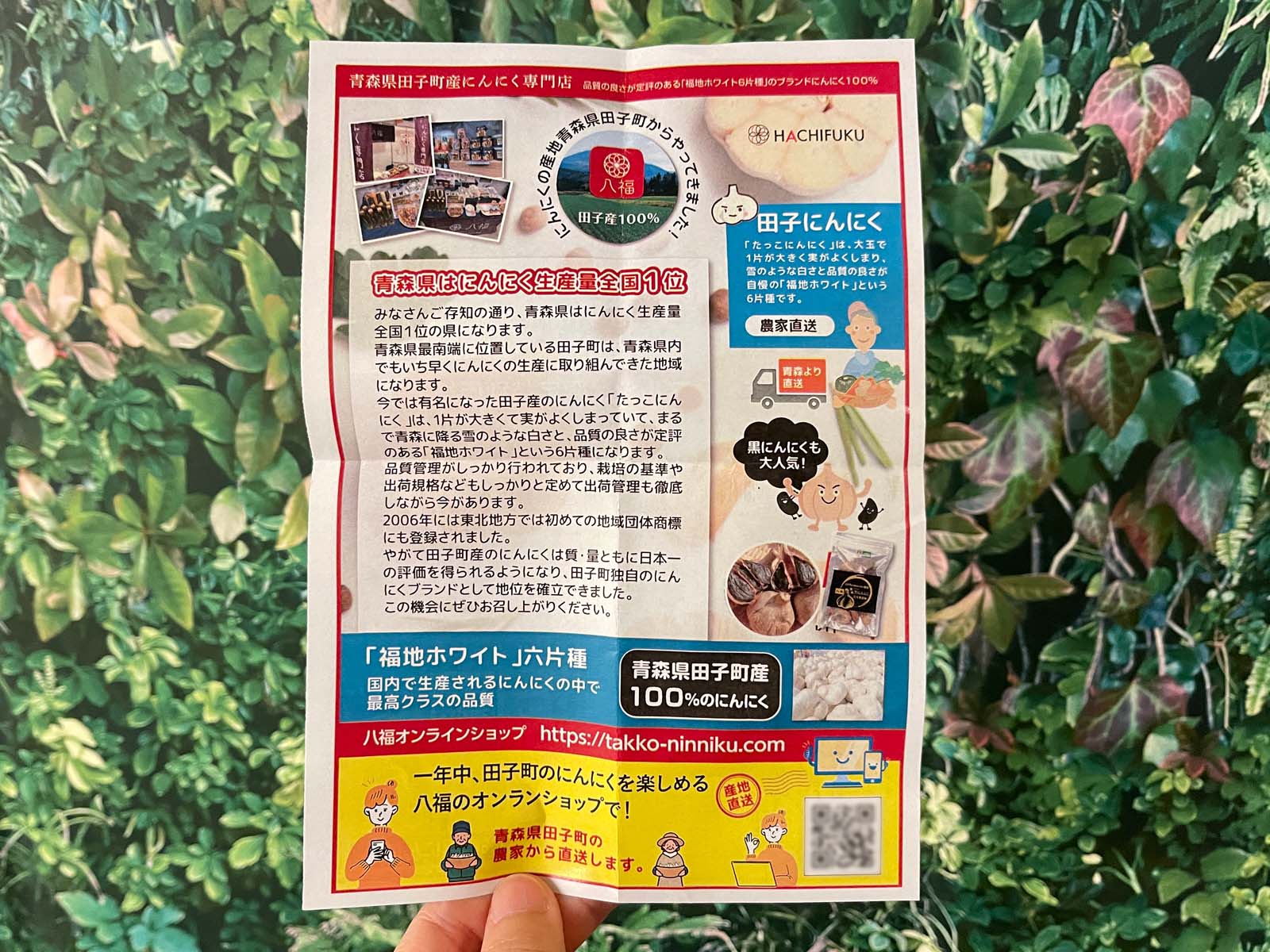 青森県田子町産にんにく専門店「八福」のフライドガーリックと大きなニンニク食べたよ！