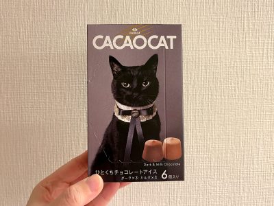 可愛い猫のパッケージが目を惹く「CACAOCAT(カカオキャット)」のひとくちチョコレートアイスを食べたよ！