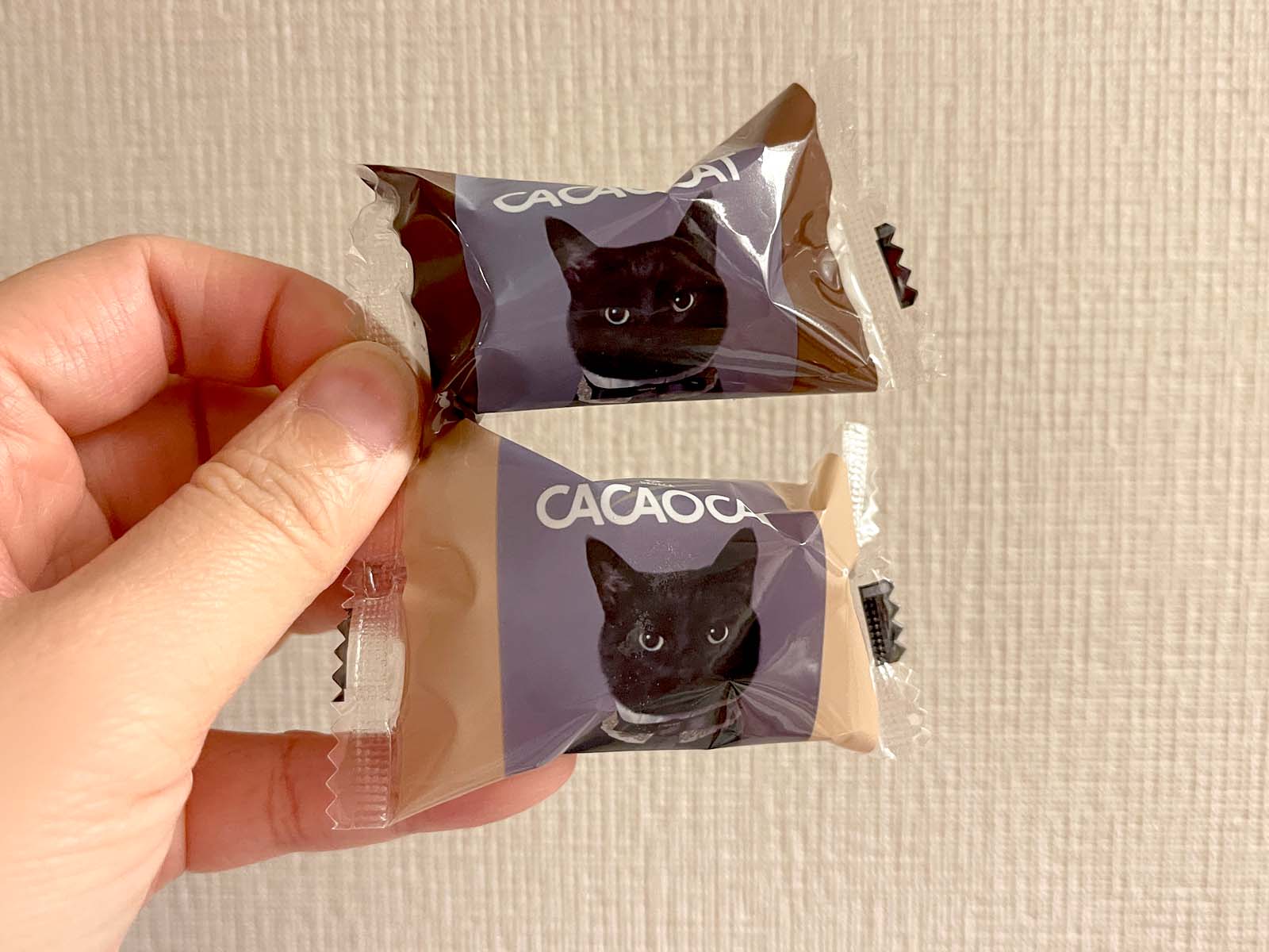 コンビニで売ってた「CACAOCAT」のひとくちチョコレートアイスを食べたよ！