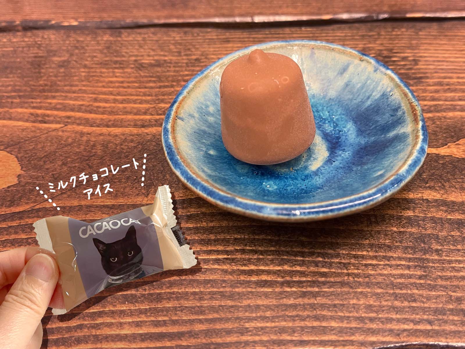 コンビニで売ってた「CACAOCAT」のひとくちチョコレートアイスを食べたよ！